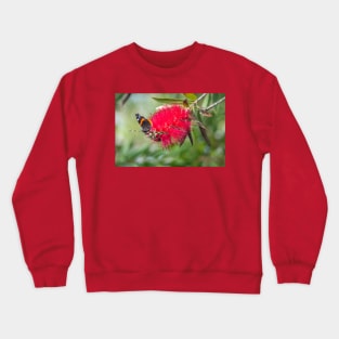 Red Admiral On A Red Bottlebrush Bloom Crewneck Sweatshirt